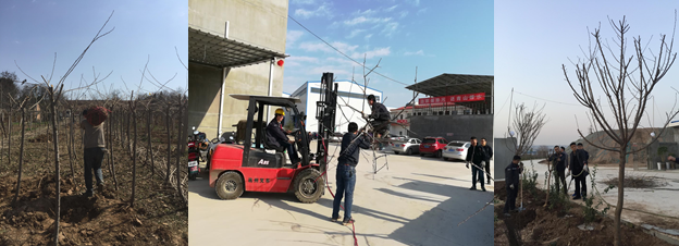 寶雞捷銳“迎春風(fēng)，綠家園”植樹節(jié)(圖2)