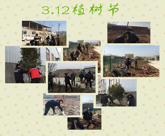 寶雞捷銳“迎春風(fēng)，綠家園”植樹節(jié)(圖3)